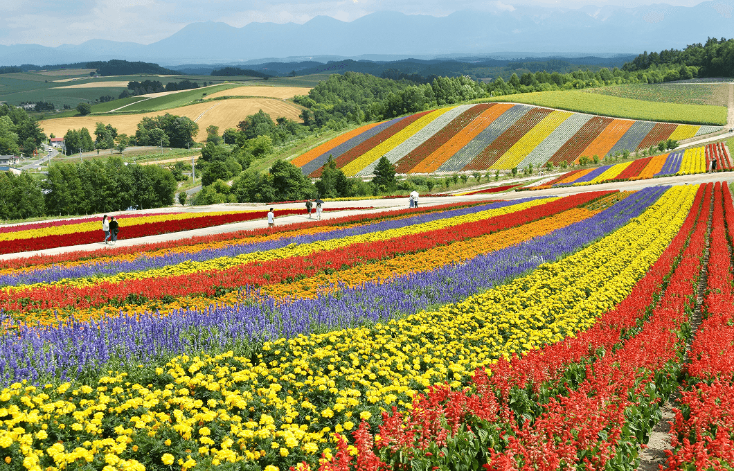 Hokkaido