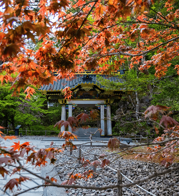 Nikko