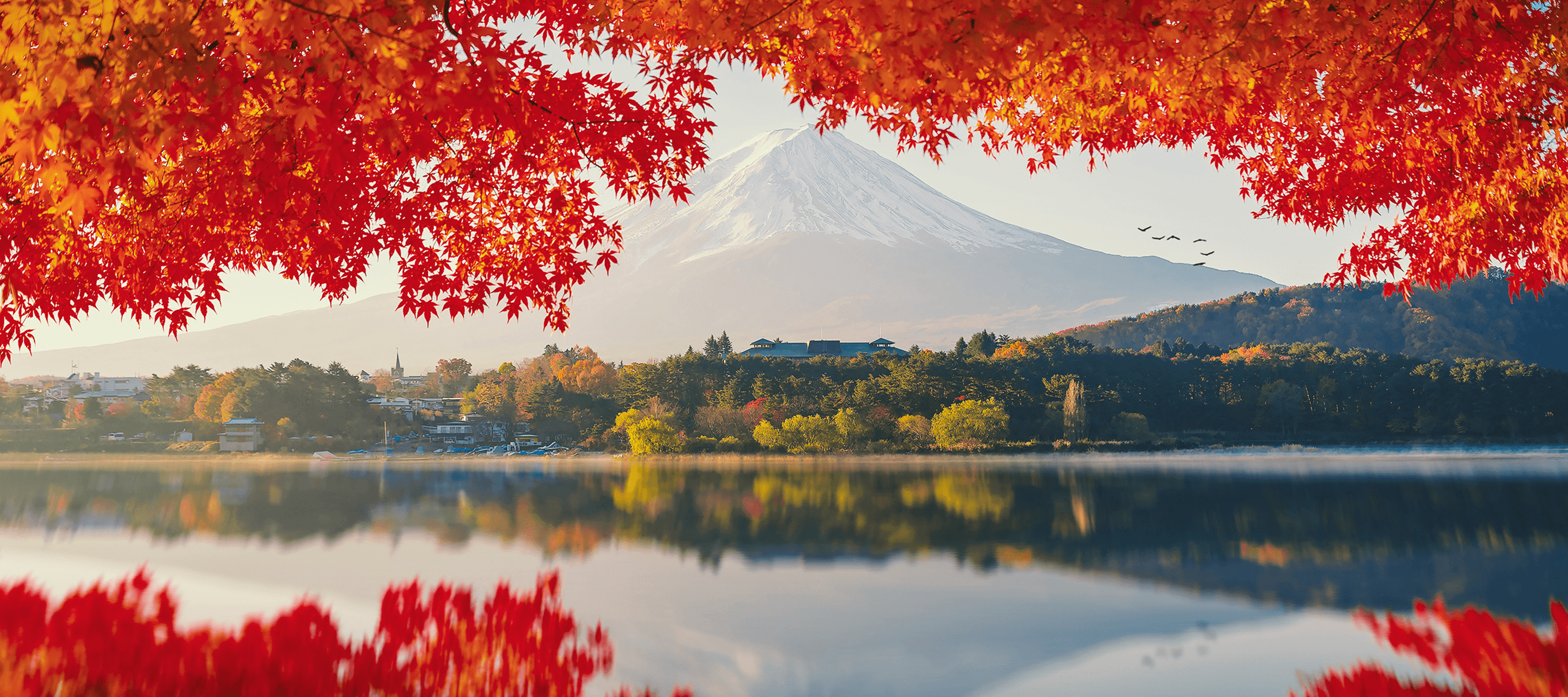 Japan Mt. Fuji background