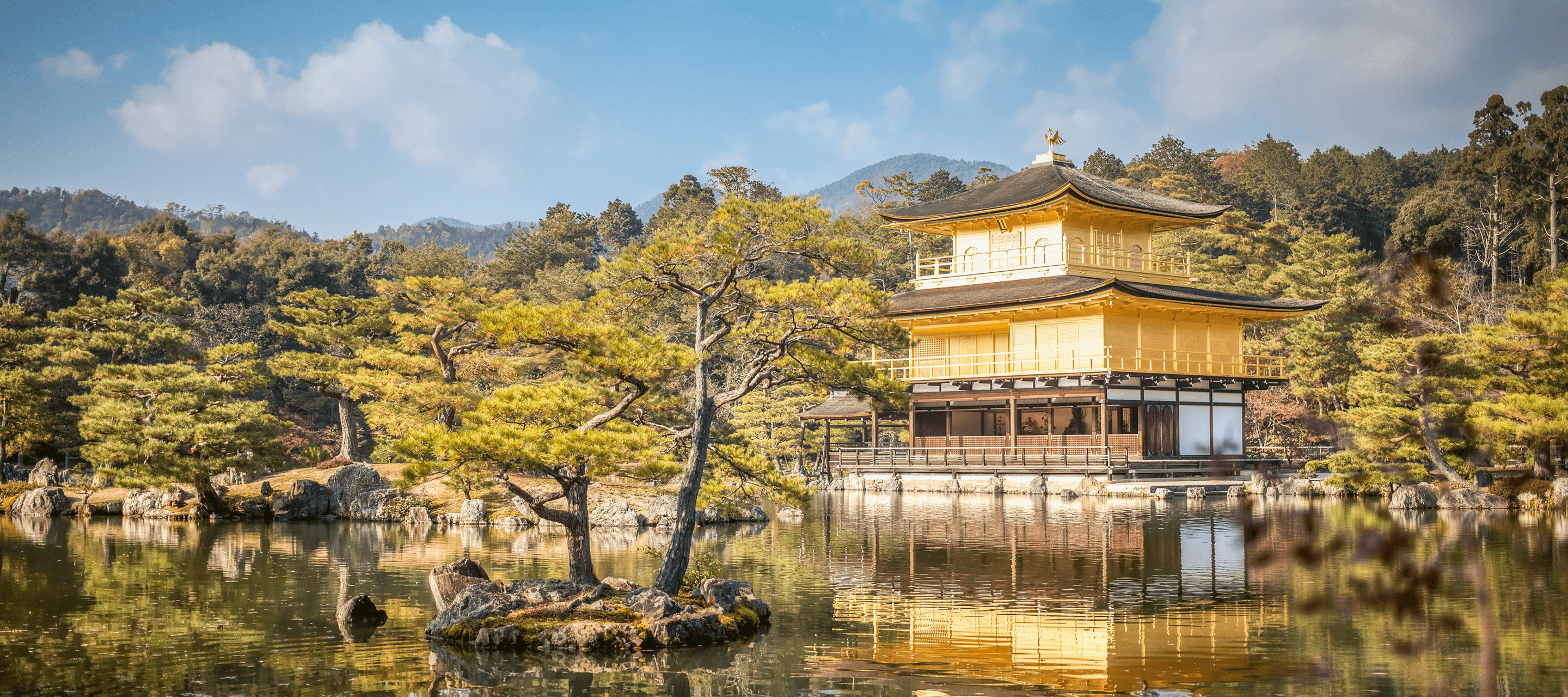 Japan Mt. Fuji background