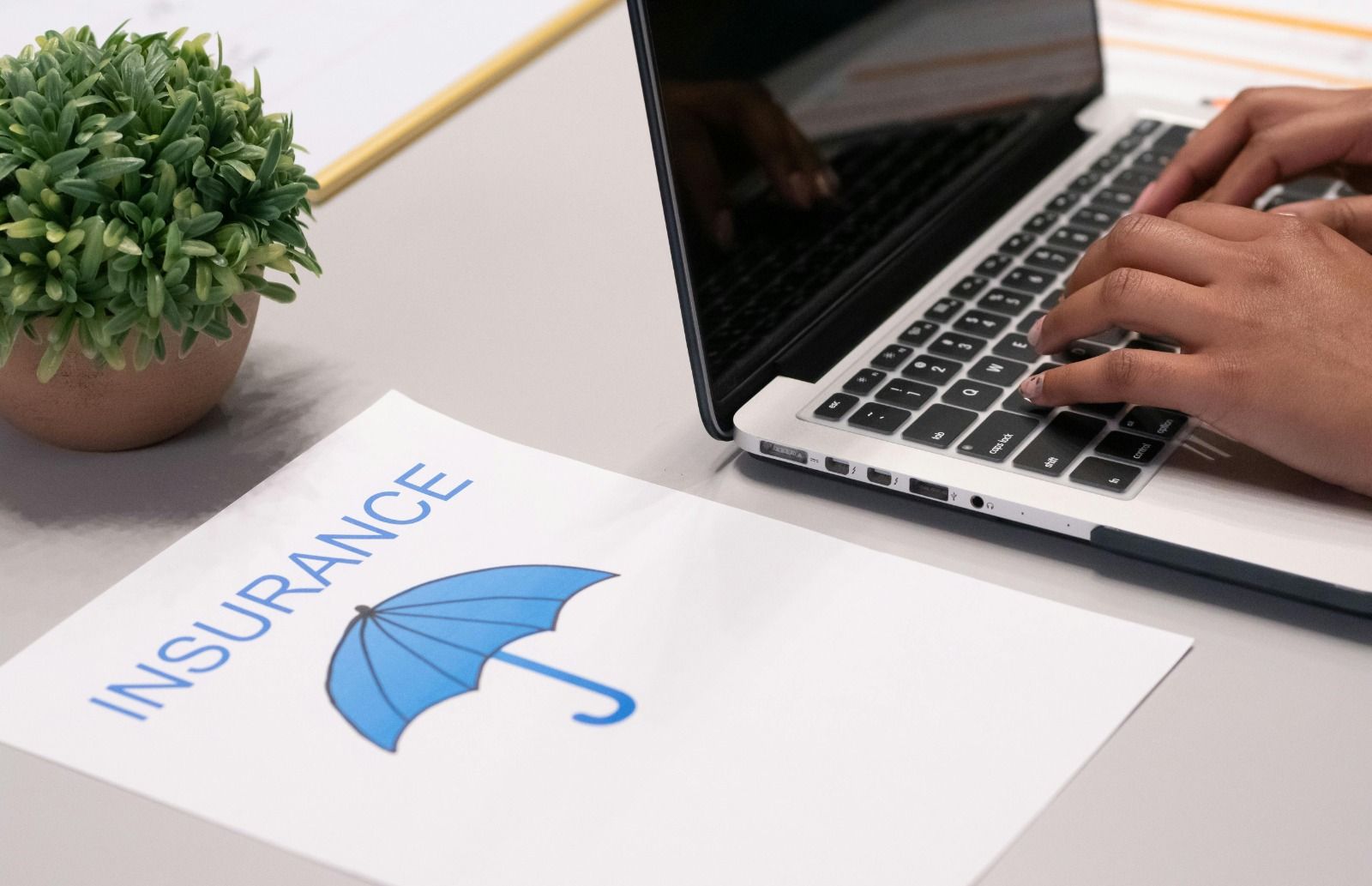 WhatsApp Image 2025-10-31 at 8.12.29 AM-2.jpeg